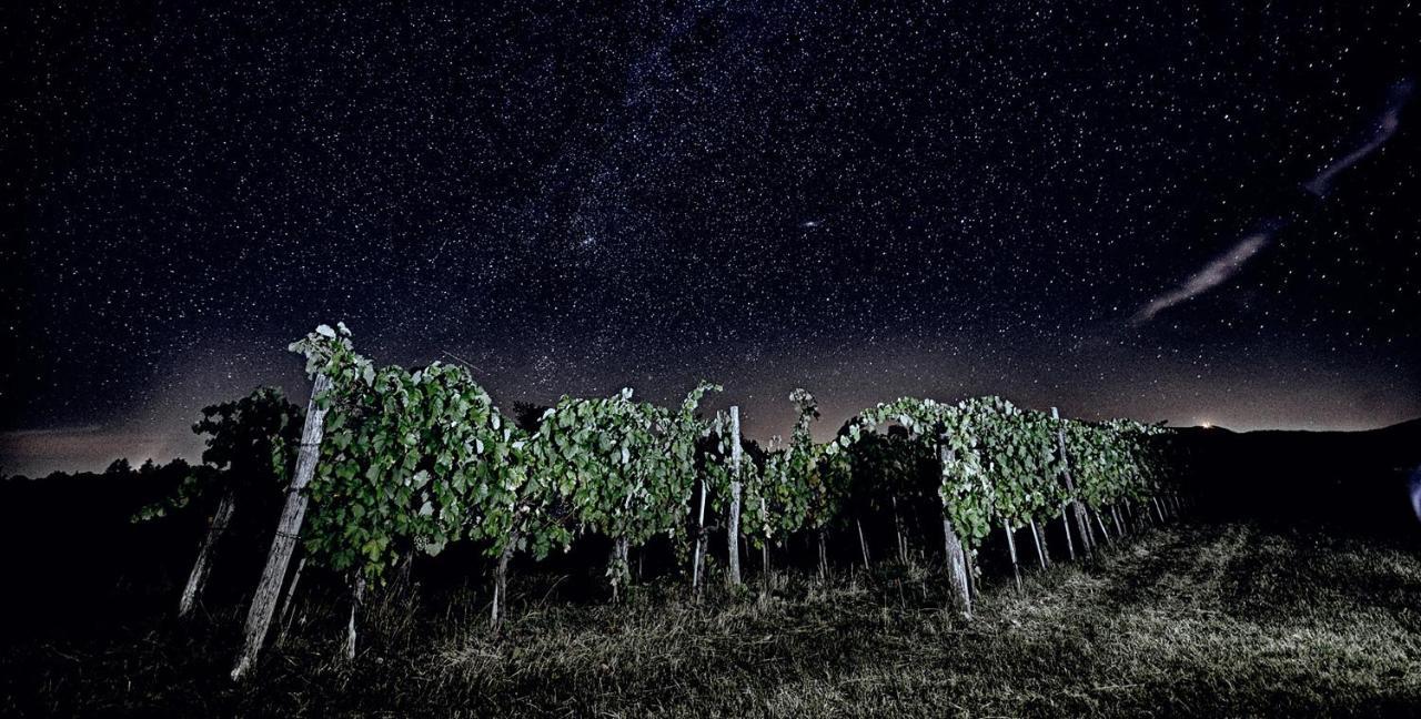 Moon - Tiny House From Callin Wines